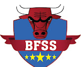 Bull Fighter Security